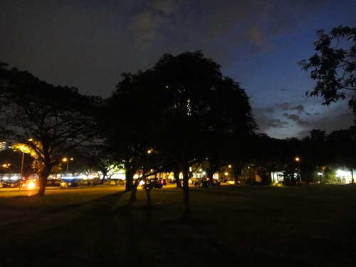 a0002177_1694876.jpg