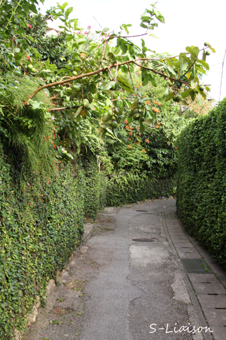 b0139477_1551370.jpg