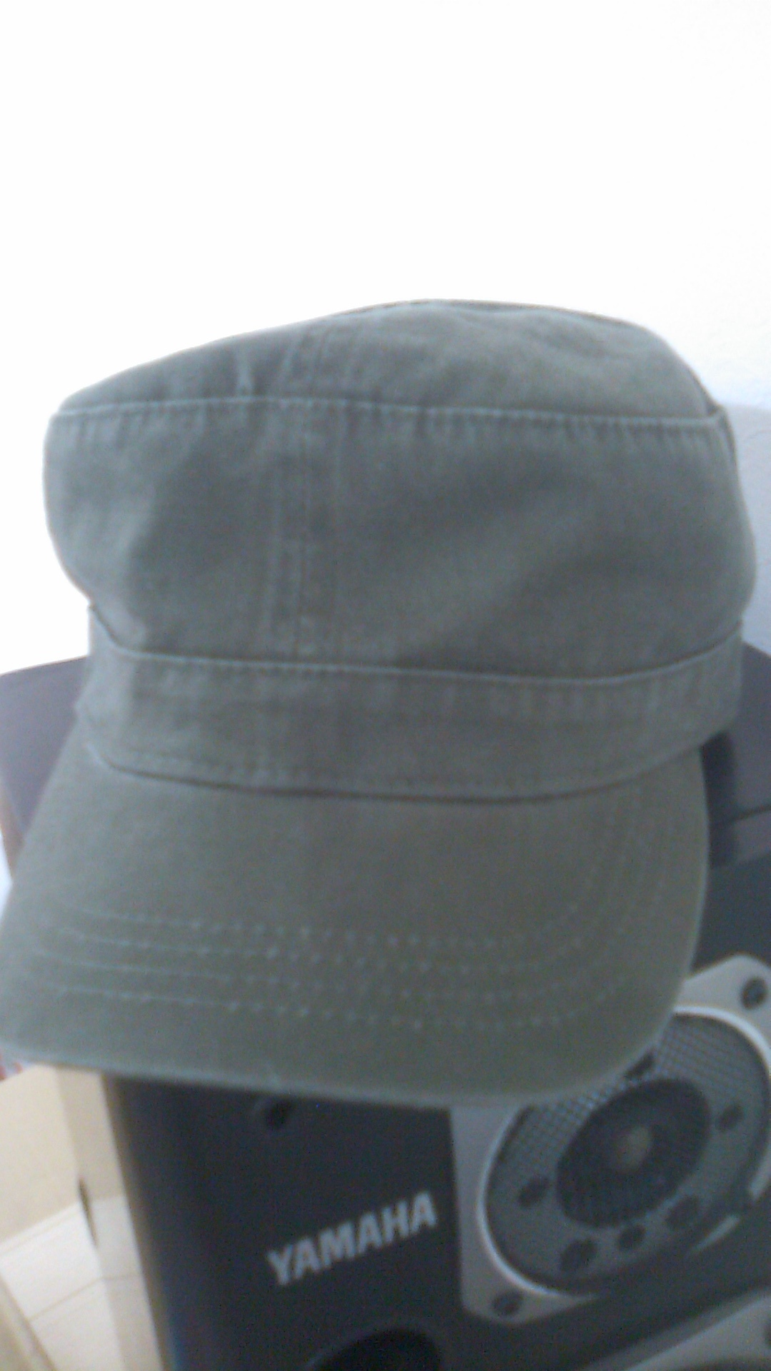 d0246877_10315548.jpg