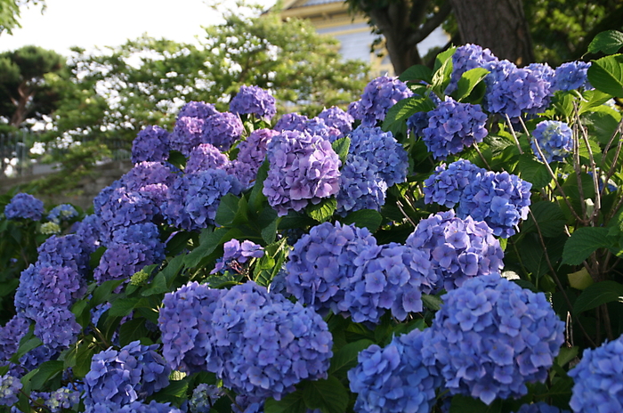 c0112479_1785092.jpg