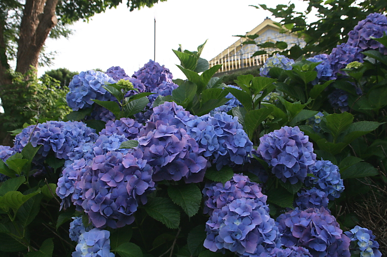 c0112479_179126.jpg