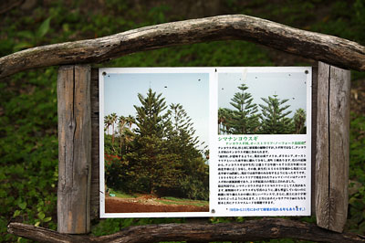c0152779_2352337.jpg