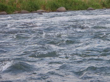 c0146788_17512476.jpg