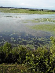 c0018489_21101893.jpg