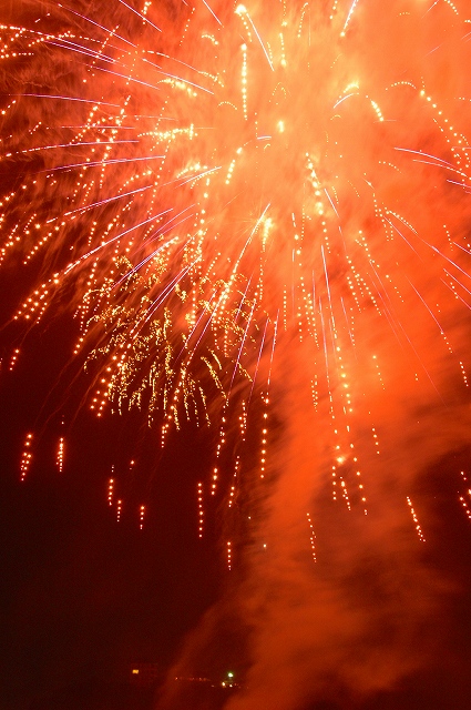 f0157901_20295614.jpg