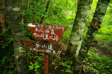 a0158802_23305286.jpg