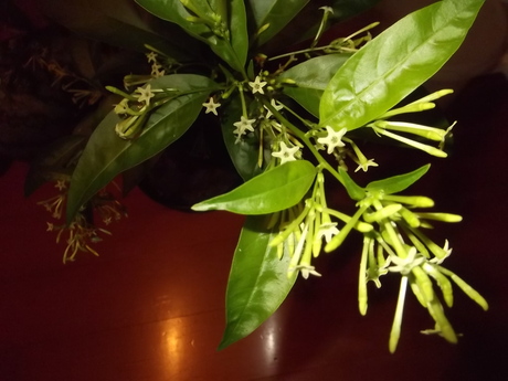 a0203003_2244432.jpg