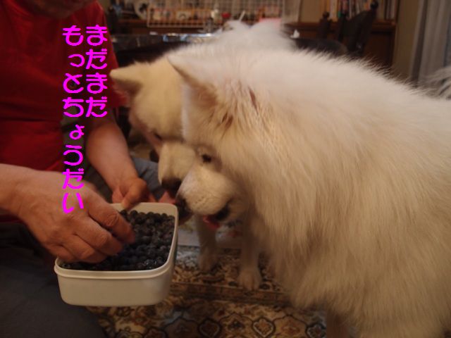 e0018604_19362197.jpg