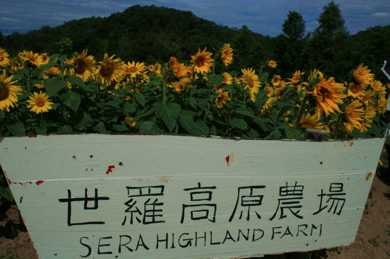 f0031304_619813.jpg