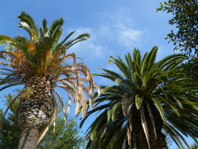 a0144811_2244967.jpg