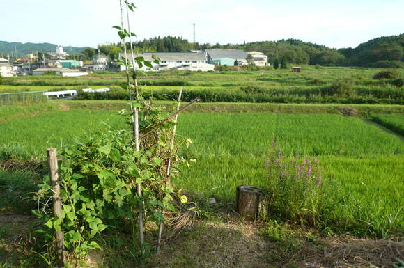 b0125311_1562881.jpg