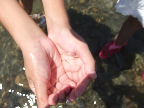 c0217013_11161746.jpg
