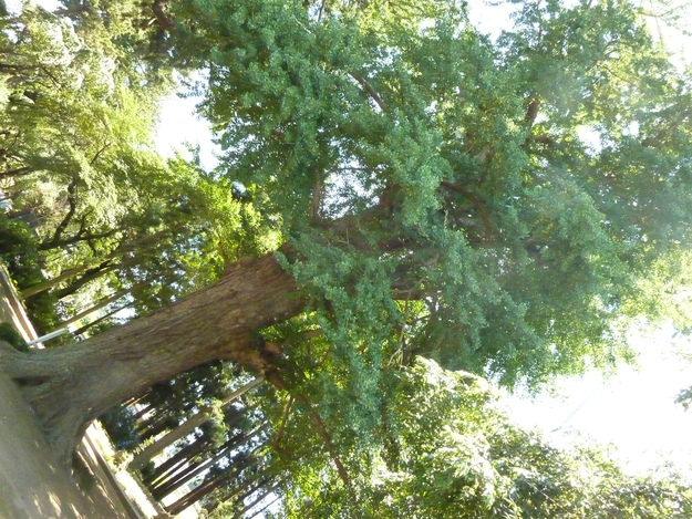e0027813_19331890.jpg
