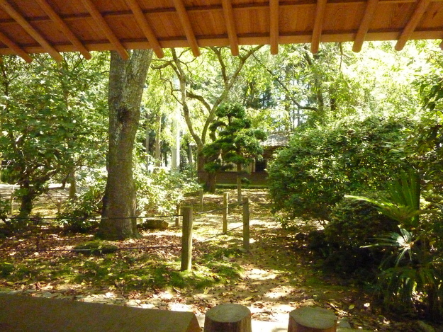 e0027813_19333330.jpg