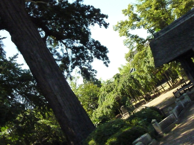 e0027813_19335684.jpg