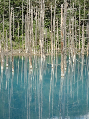 c0172318_10555989.jpg