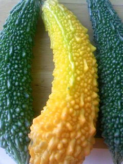 d0024220_20512956.jpg