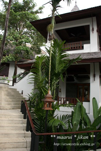a0114521_1041944.jpg
