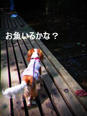 f0214121_2152686.jpg