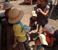 f0037623_21164958.jpg