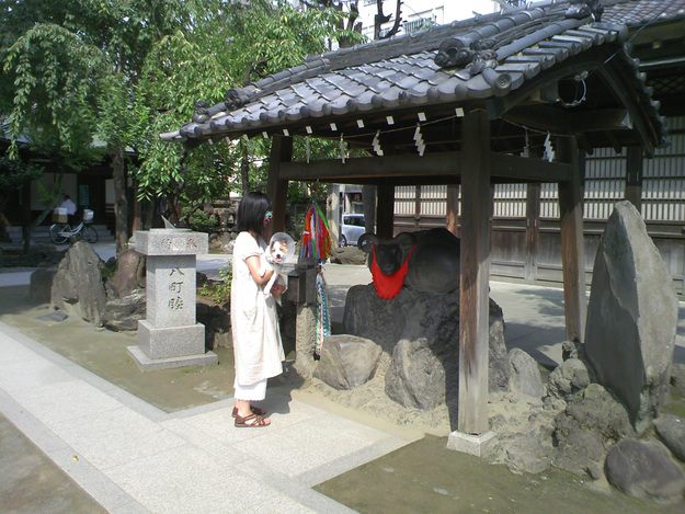 b0188228_22561245.jpg