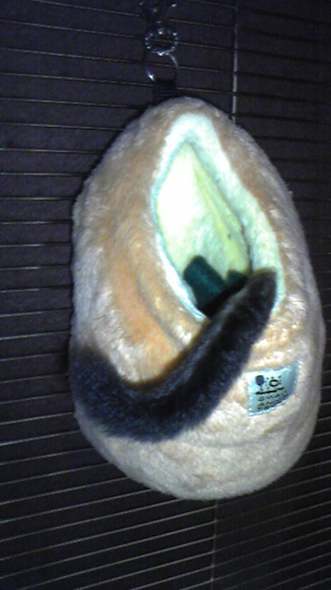 c0218031_18554913.jpg