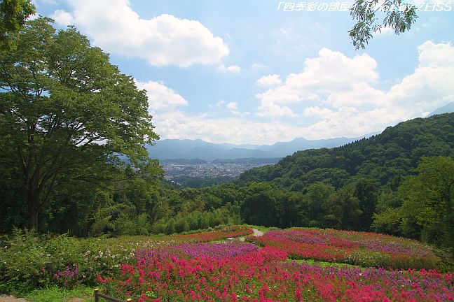 a0195032_2195155.jpg