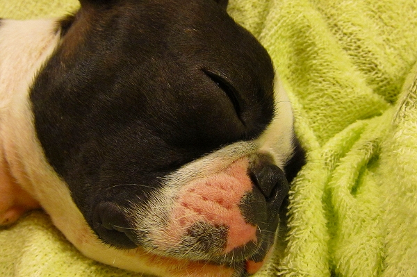 c0209932_21555160.jpg