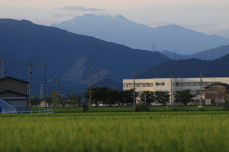 b0177233_5285267.jpg