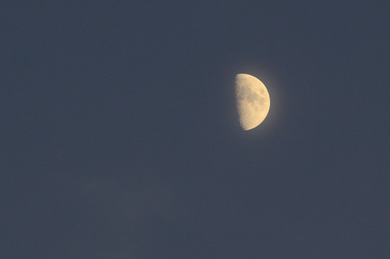 b0177233_5313066.jpg