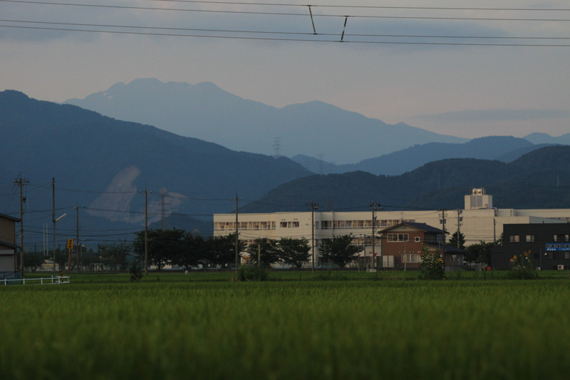 b0177233_534887.jpg