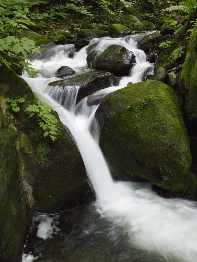 c0000134_15591671.jpg