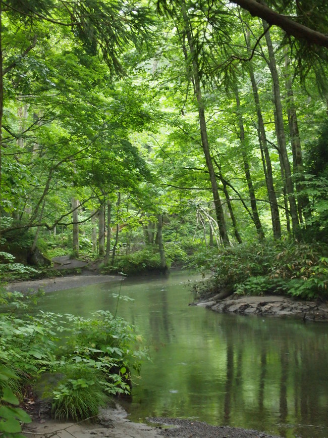 c0000134_1613386.jpg