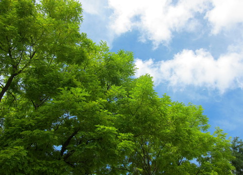 b0178339_12591883.jpg