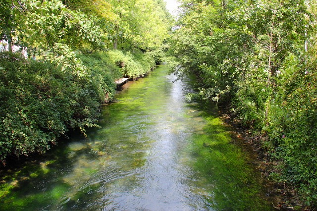 c0153740_34332100.jpg
