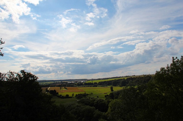 c0153740_4462545.jpg
