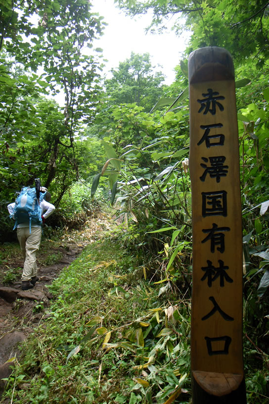 a0130641_13244943.jpg