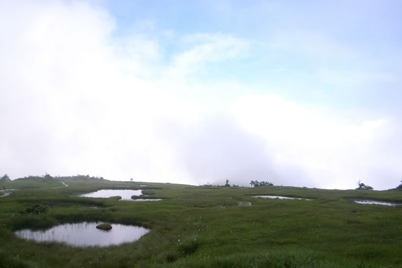 a0130641_13255437.jpg