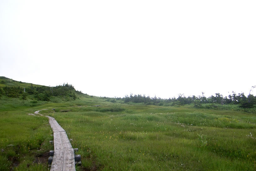 a0130641_132615100.jpg