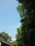 c0042941_20414855.jpg