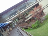 c0042941_20493939.jpg