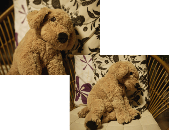 b0182846_15565183.gif