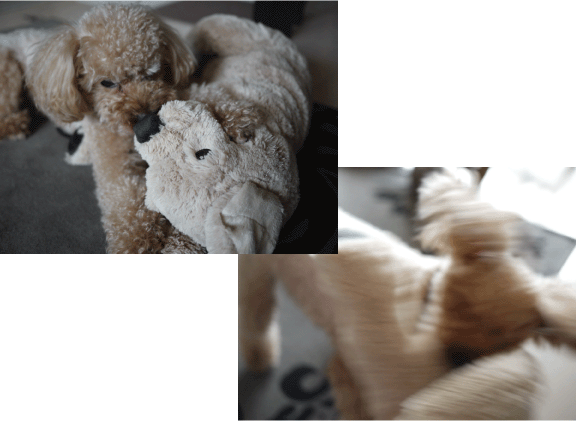 b0182846_15584535.gif