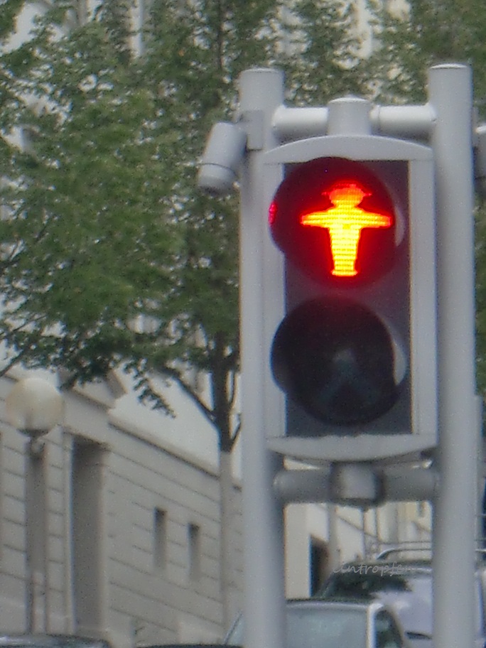 f0174549_5123482.jpg