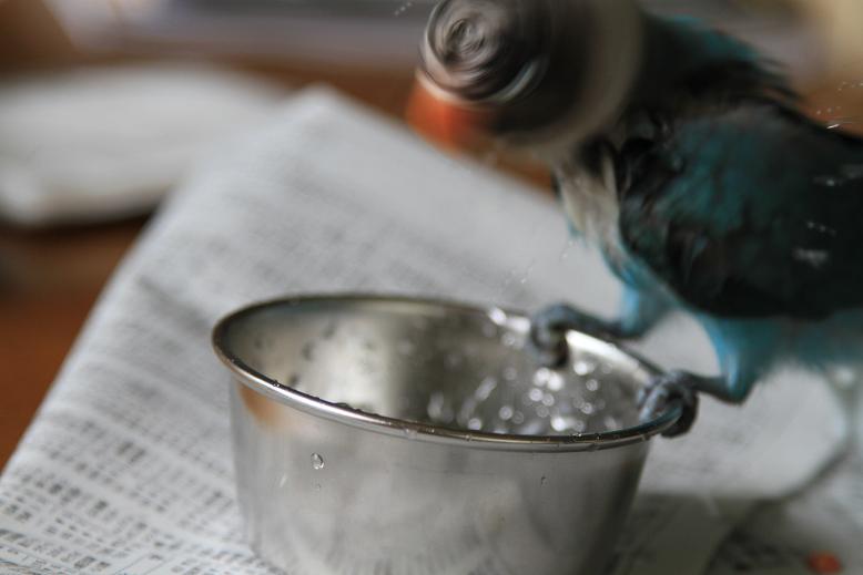 c0145250_15552015.jpg