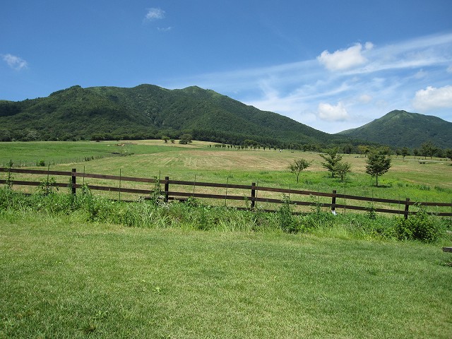 d0031853_30422.jpg