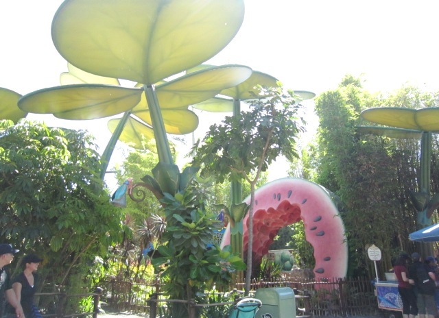 b0173754_11424725.jpg