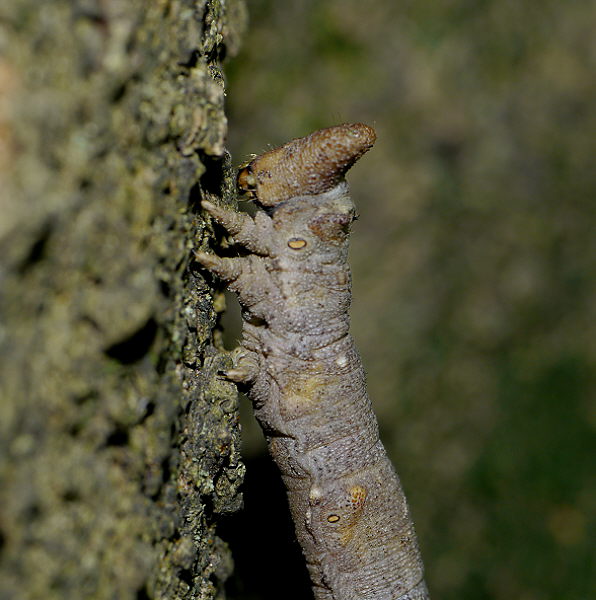 d0091754_143348.jpg