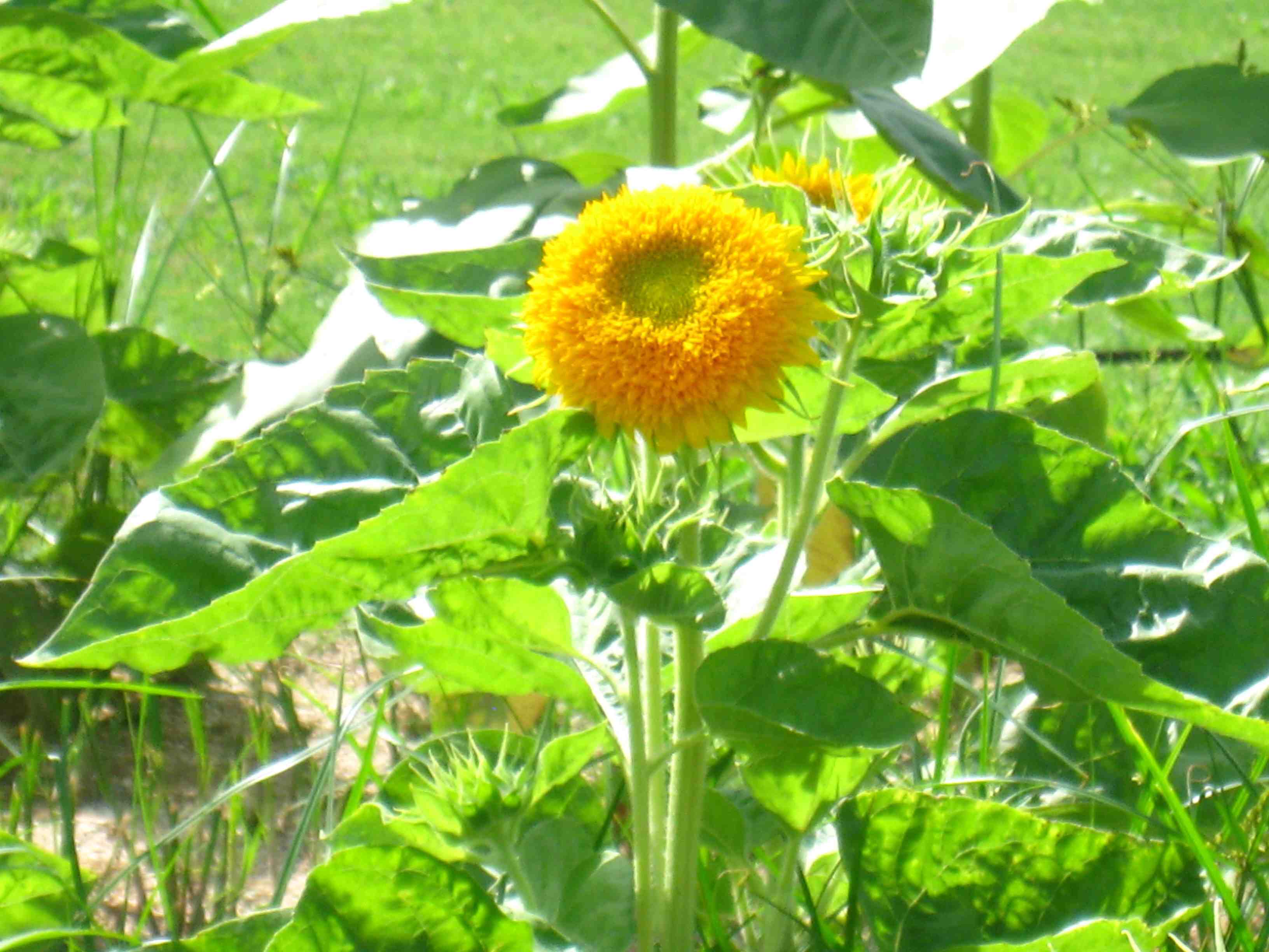f0233356_2364530.jpg