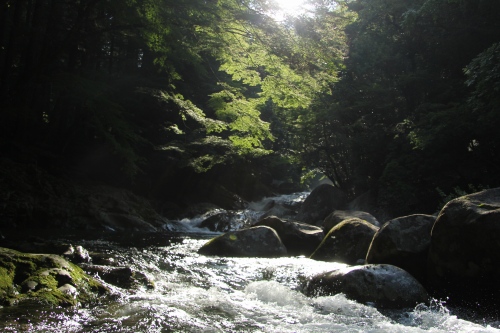 c0201257_1658545.jpg